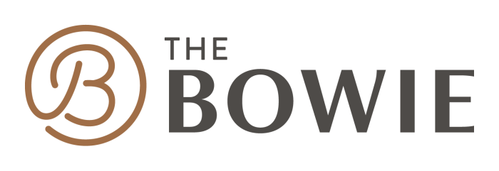 TheBowie Logo Horz FullColor