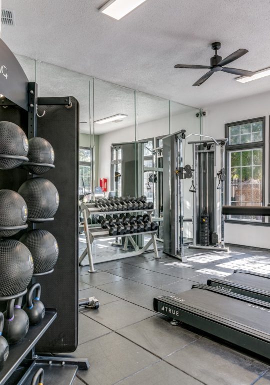 a gym room with exercise equipment and mirrors at The Evaline