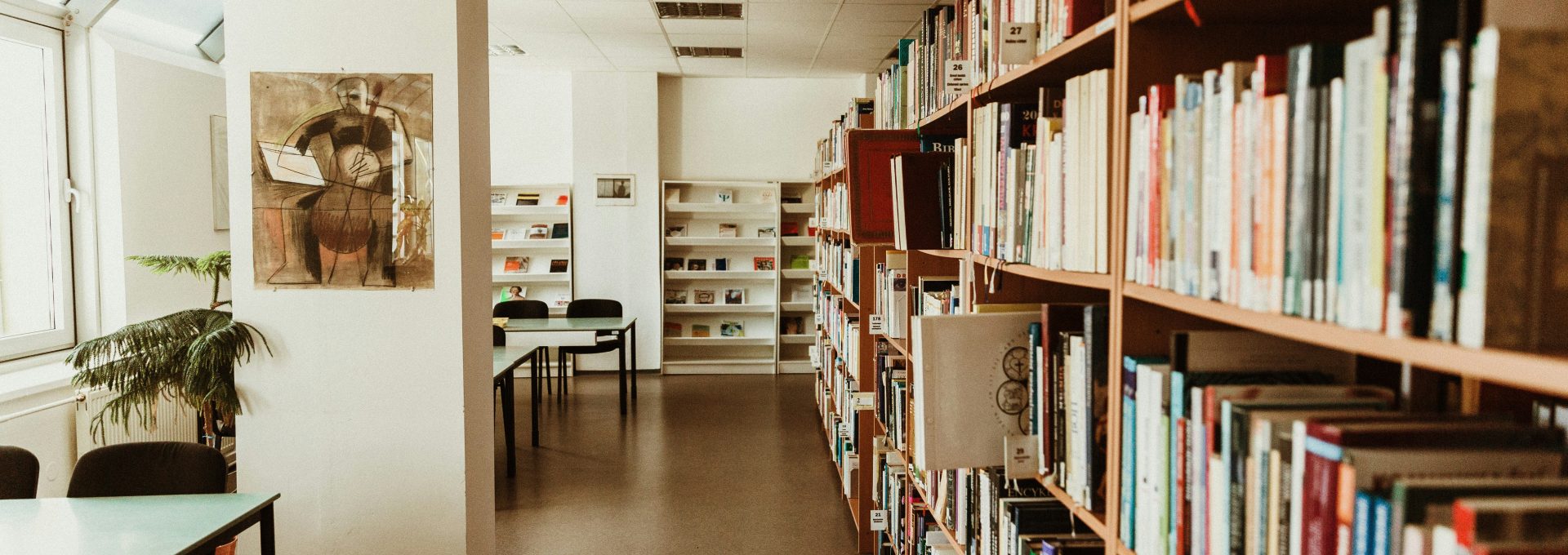 books on shelves in library