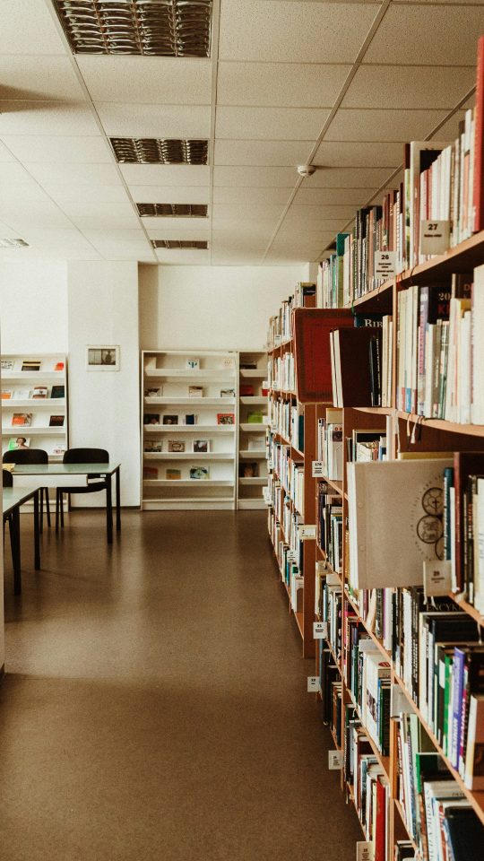 books on shelves in library