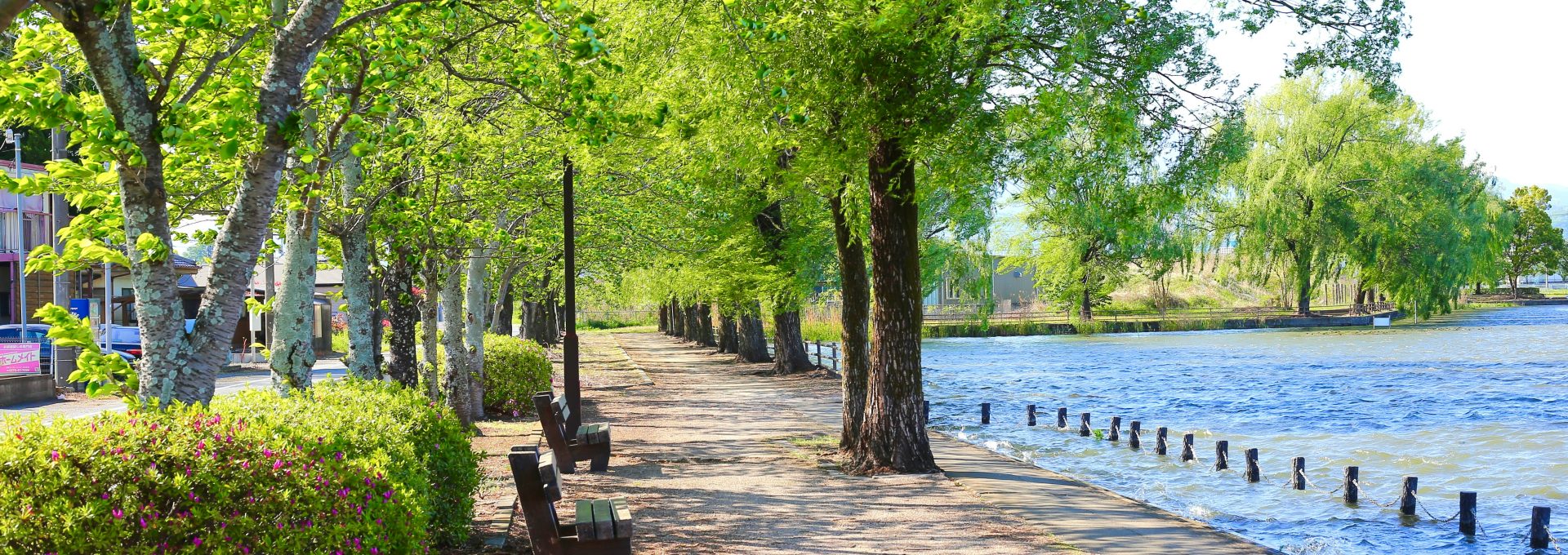 brown wooden bench near body of water