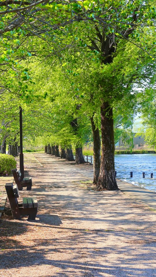 brown wooden bench near body of water