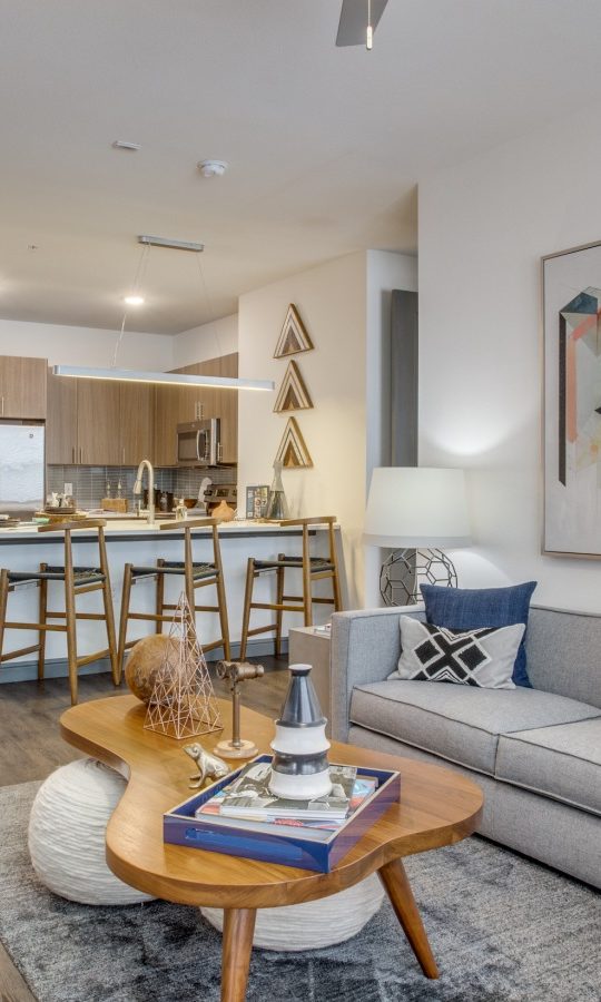 a living room with a couch, coffee table and a television at The Twin Creeks Crossing