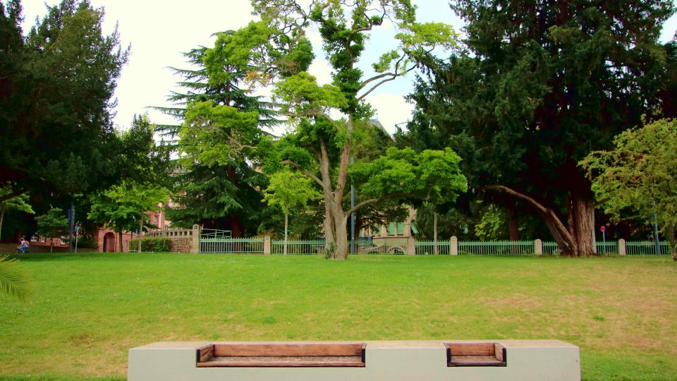 a bench sitting in the middle of a park