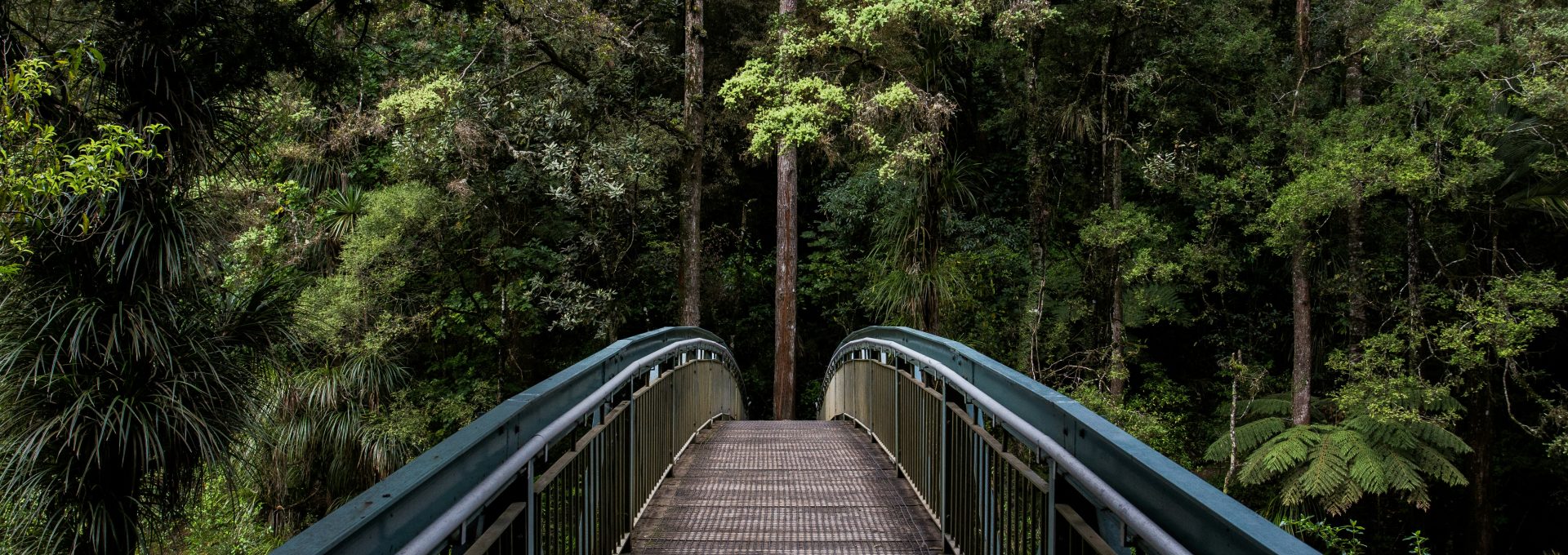 blue and brown steel bridge