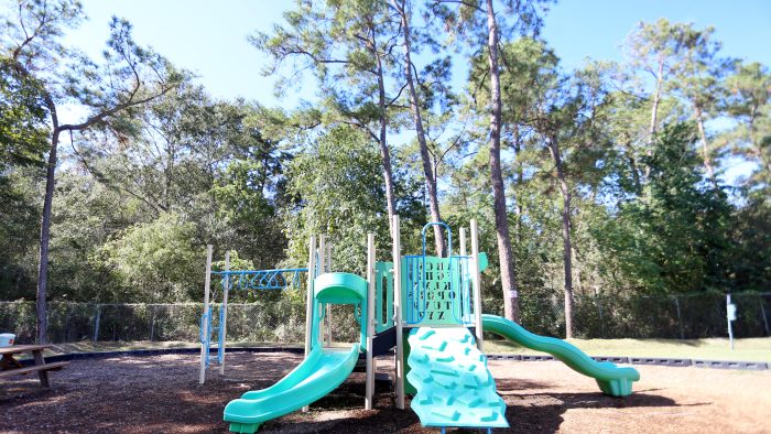 playground at The Wilson Place 